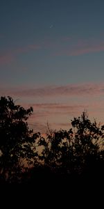 Árboles,Cielo,Naturaleza,Puesta Del Sol,Follaje