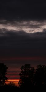 Trees,Sunset,Sky,Nature,Silhouette
