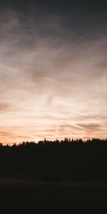 Nature,Grandes Lignes,Contours,Arbres,Sky,Nuit,Coucher De Soleil