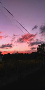 Trees,Sunset,Sky,Road,Nature