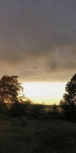 Soir,Polyana,Abattement,Contour,Arbres,Clairière,Sun,Horizon,Nature,Coucher De Soleil