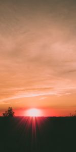 Trees,Sunset,Sun,Horizon,Nature,Sky