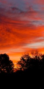 Arbres,Nuages,Crépuscule,Coucher De Soleil,Sombre