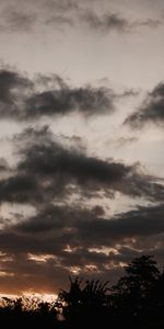 Nature,Arbres,Nuages,Crépuscule,Sombre,Coucher De Soleil