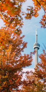 Trees,Tower,Cities,Autumn,Building