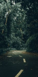 Trees,Turn,Road,Nature,Forest