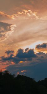 Trees,Twilight,Clouds,Dusk,Nature,Sunset