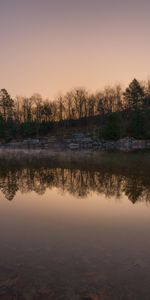 Trees,Twilight,Lake,Reflection,Shore,Bank,Dusk,Nature