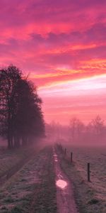 Route,Domaine,Brouillard,Champ,Arbres,Crépuscule,Nature