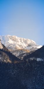 Retour Au Début,Snowbound,Nature,Sommet,Couvert De Neige,Montagnes,Arbres,Sky