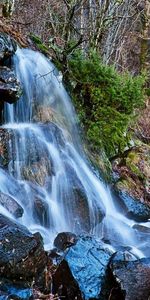 Trees,Waterfall,Asphalt,Nature,Road