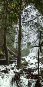 Trees,Waterfall,Flow,Stream,Nature,Spray