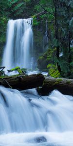 Naturaleza,Árboles,Bosque,Musgo,Cascada