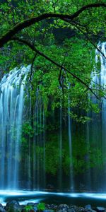 Cascada,Flujo,Fluir,Árboles,Naturaleza