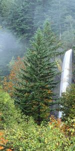 Cascada,Árboles,Verduras,Naturaleza,Otoño