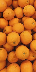 Agrume,Agrumes,Oranges,Nourriture,Fruits,Tropical