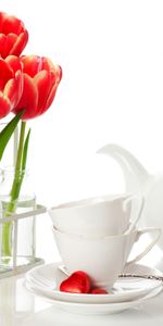 Tulips,Bouquets,Plants,Background,Flowers