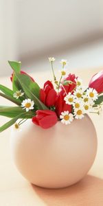 Tulips,Bouquets,Plants,Flowers