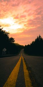 Turn,Markup,Nature,Road,Sunset,Forest