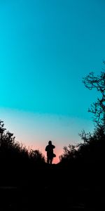 Twilight,Bush,Silhouette,Miscellanea,Miscellaneous,Path,Dusk,Outlines,Trail,Dark