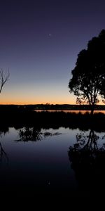 Crepúsculo,Lago,Madera,Sucursales,Ramas,Oscuro,Silueta,Árbol,Oscuridad