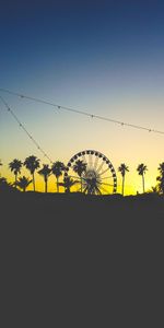 Twilight,Palms,Dusk,Ferris Wheel,Dark