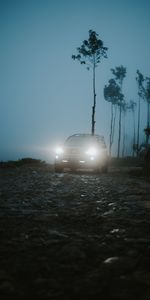 Coches,Brillar,Luz,Carro,Coche,Oscuridad,Crepúsculo,Niebla,Suv