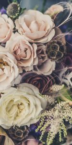 Typography,Registration,Bouquet,Composition,Flowers