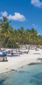 United States,Islamorada,Usa,Rest,Paradise,Florida,Nature,Tropics,Palms,Relaxation,Ocean