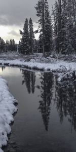 Le Parc National De Yellowstone,Parc National De Yellowstone,Wyoming,Etats Unis,Nature,États Unis