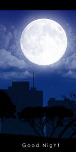 Vector,Trees,Building,Shadows,Night,City,Moon