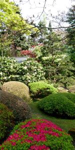 Naturaleza,Flores,Vegetación,Camas De Flores,Jardín