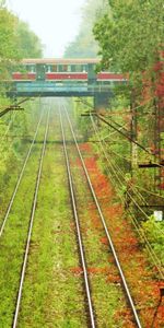 Fils,Fil,Tram,Elsy,Els,Manière,Nature,Chemins,Tramway,Verdure,Légumes Verts,Végétation