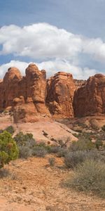 Nature,Arbustes,Canyons,Désert,Végétation