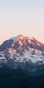 Vertex,Nature,Trees,Mountain,Top,Snow Covered,Snowbound,Snow