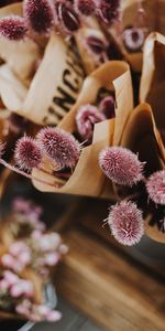 Violet,Bouquets,Flowers,Close Up,Purple