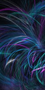 Violet,Involute,Abstract,Lines,Dark,Purple,Swirling,Fractal