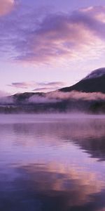 Violet,Landscape,Mountains