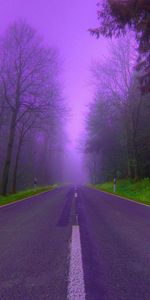 Violet,Landscape,Roads