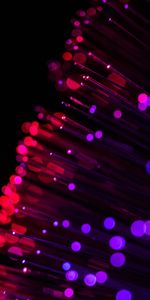 Violet,Macro,Glare,Shine,Thread,Brilliance,Optical Fiber,Purple