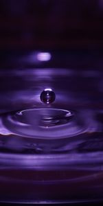 Violet,Ripples,Ripple,Drop,Dark,Purple