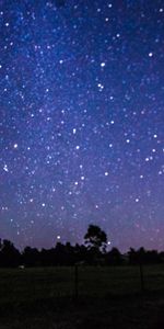 Violet,Shine,Starry Sky,Brilliance,Nature,Night,Purple