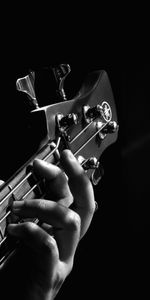 Vulture,Bw,Hand,Chb,Musical Instrument,Guitar,Music