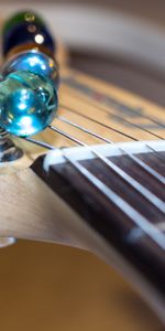 Vulture,Strings,Electric Guitar,Music