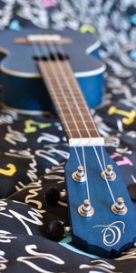 Vulture,Strings,Guitar,Music