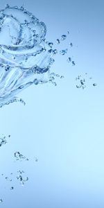 Water,Background,Roses