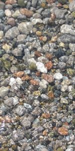 Water,Background,Stones