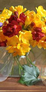 Fleurs,Vase,Bouquet,Eau