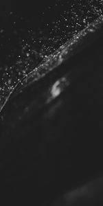 Water,Drops,Surface,Bw,Chb,Dark