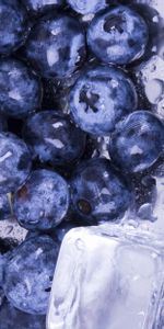 Water,Food,Berries,Bilberries,Ice